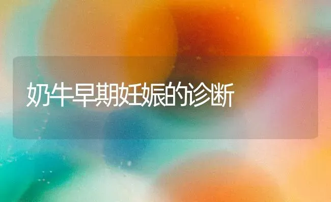 奶牛早期妊娠的诊断 | 养殖知识