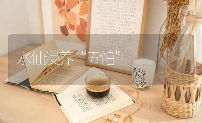 水仙浸养“五怕” | 养殖知识