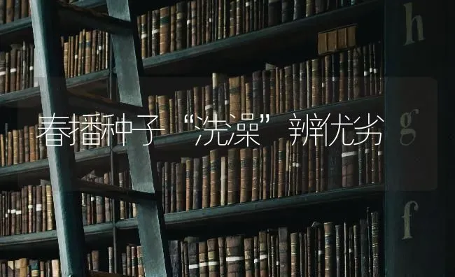 春播种子“洗澡”辨优劣 | 养殖知识