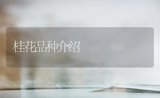 桂花品种介绍 | 养殖技术大全