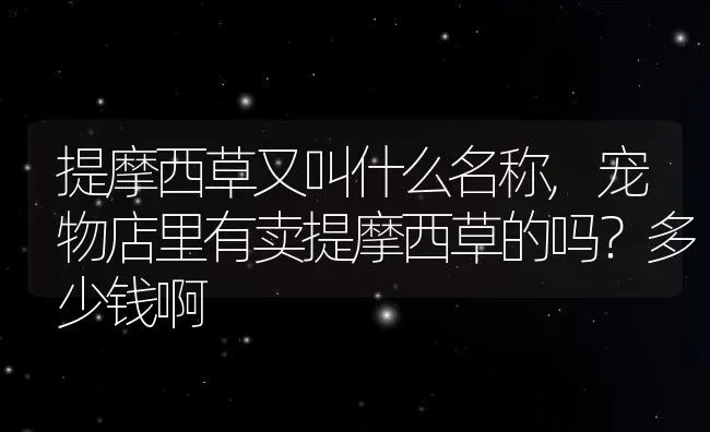 提摩西草又叫什么名称,宠物店里有卖提摩西草的吗？多少钱啊 | 养殖学堂