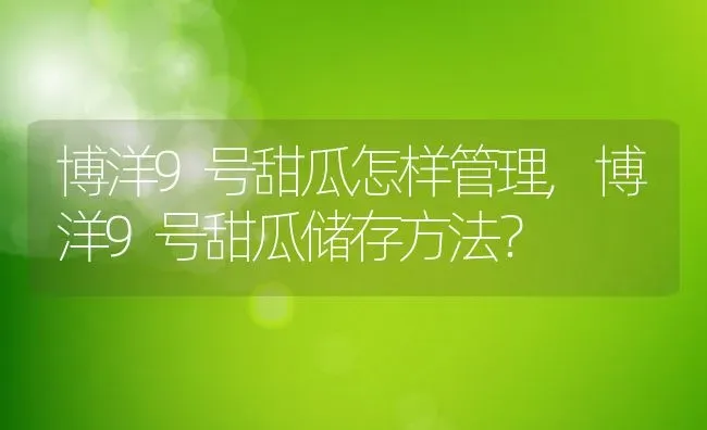 博洋9号甜瓜怎样管理,博洋9号甜瓜储存方法？ | 养殖科普