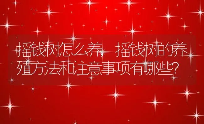 摇钱树怎么养,摇钱树的养殖方法和注意事项有哪些？ | 养殖科普