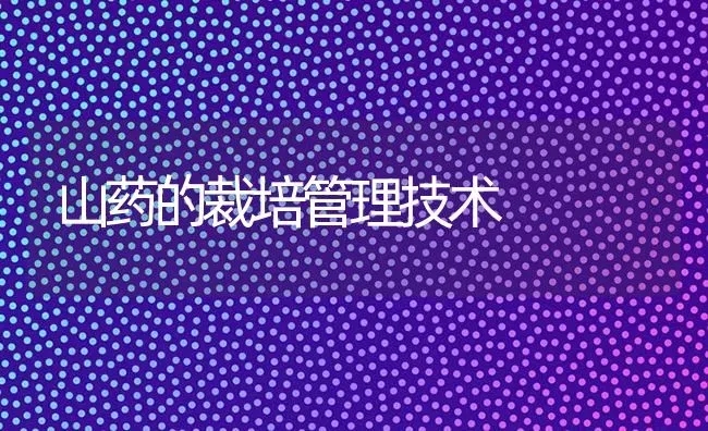 山药的裁培管理技术 | 养殖知识