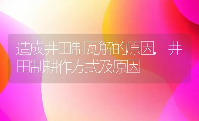 造成井田制瓦解的原因,井田制耕作方式及原因 | 养殖学堂