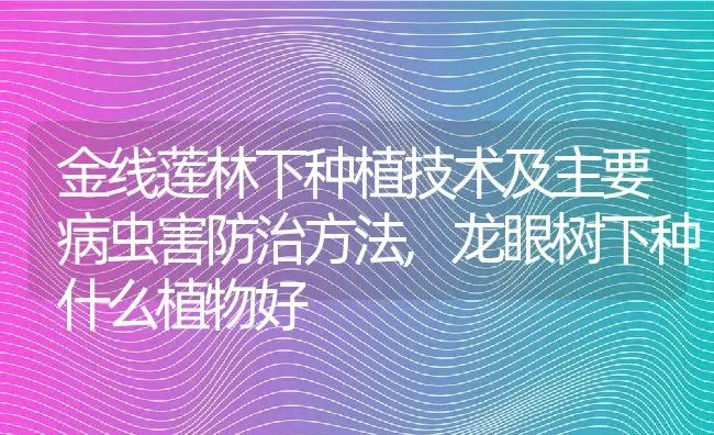 金线莲林下种植技术及主要病虫害防治方法,龙眼树下种什么植物好 | 养殖学堂