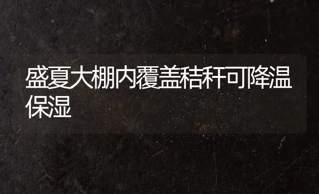 盛夏大棚内覆盖秸秆可降温保湿 | 养殖知识