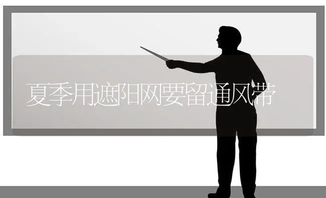 夏季用遮阳网要留通风带 | 养殖技术大全