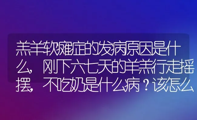 羔羊软瘫症的发病原因是什么,刚下六七天的羊羔行走摇摆，不吃奶是什么病？该怎么办 | 养殖学堂