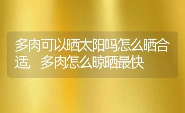 多肉可以晒太阳吗怎么晒合适,多肉怎么晾晒最快 | 养殖学堂