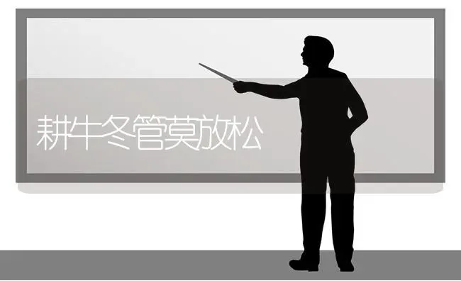 耕牛冬管莫放松 | 养殖知识