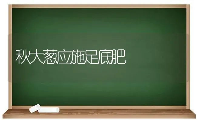 秋大葱应施足底肥 | 养殖技术大全