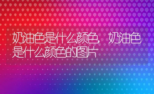 奶油色是什么颜色,奶油色是什么颜色的图片 | 养殖资料