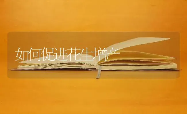 如何促进花生增产 | 养殖技术大全
