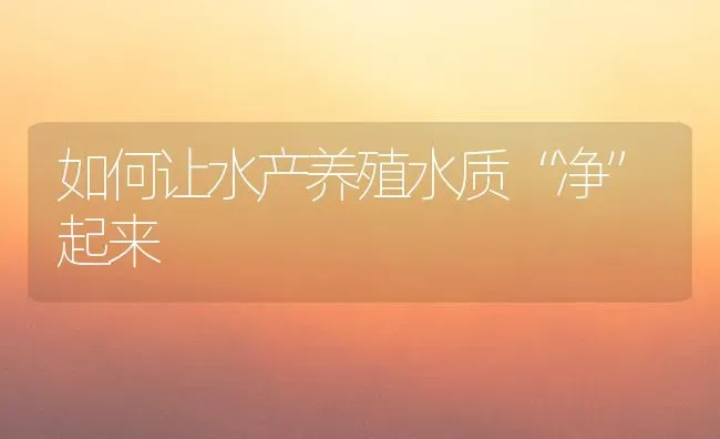 如何让水产养殖水质“净”起来 | 养殖技术大全