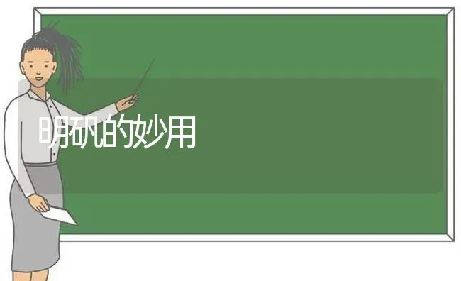 明矾的妙用 | 养殖知识