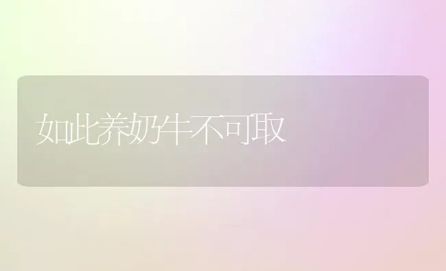 如此养奶牛不可取 | 养殖知识