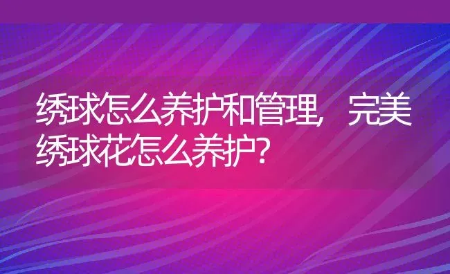 绣球怎么养护和管理,完美绣球花怎么养护？ | 养殖科普