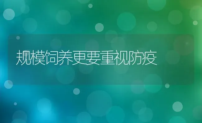 规模饲养更要重视防疫 | 养殖知识