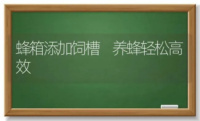 蜂箱添加饲槽 养蜂轻松高效 | 养殖知识