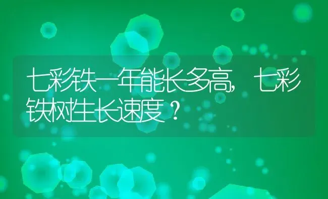 七彩铁一年能长多高,七彩铁树生长速度？ | 养殖科普