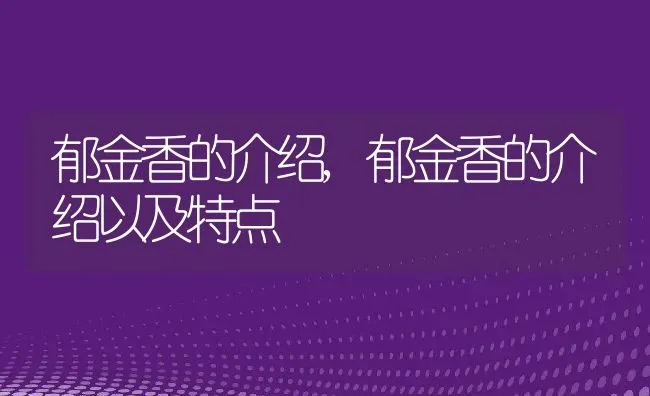 郁金香的介绍,郁金香的介绍以及特点 | 养殖资料