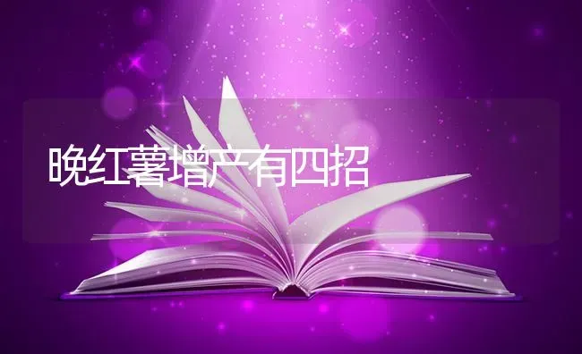 晚红薯增产有四招 | 养殖技术大全