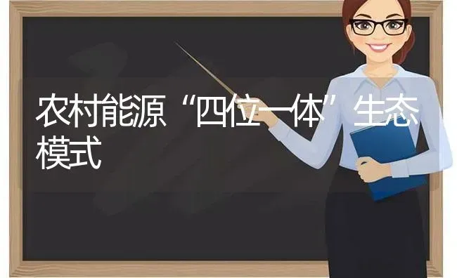 农村能源“四位一体”生态模式 | 养殖技术大全