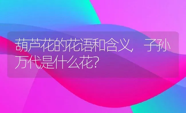 葫芦花的花语和含义,子孙万代是什么花？ | 养殖科普