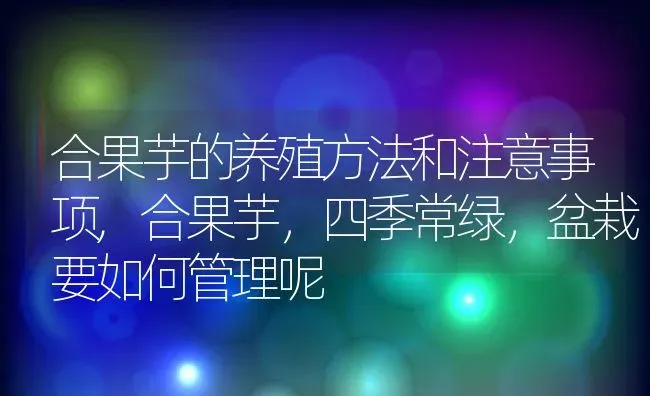 合果芋的养殖方法和注意事项,合果芋，四季常绿，盆栽要如何管理呢 | 养殖学堂