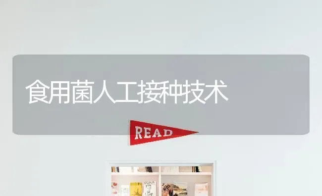 大棚番茄老秧促发新芽 | 养殖知识