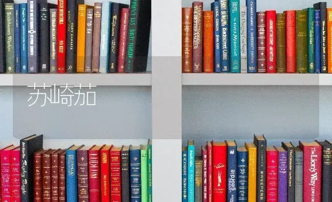 苏崎茄 | 养殖技术大全