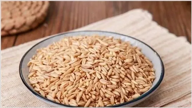 如何提高燕麦种子发芽率成活率 | 农广天地