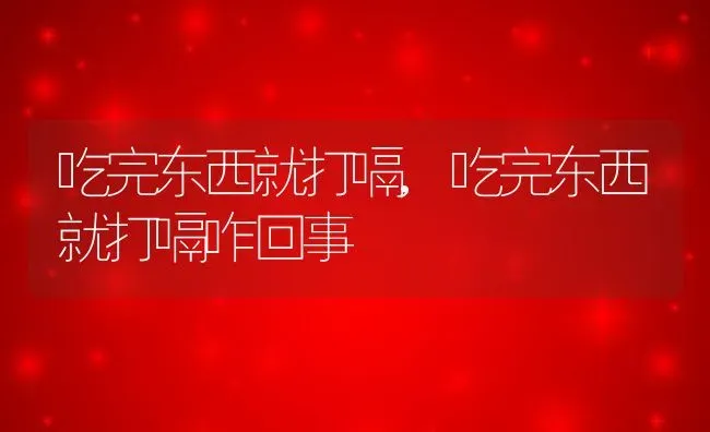 吃完东西就打嗝,吃完东西就打嗝咋回事 | 养殖科普