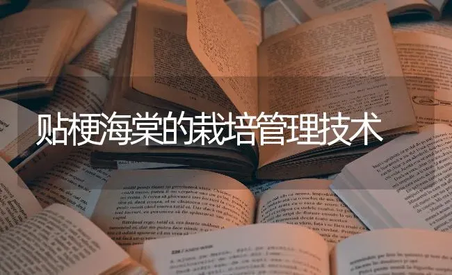 贴梗海棠的栽培管理技术 | 养殖技术大全