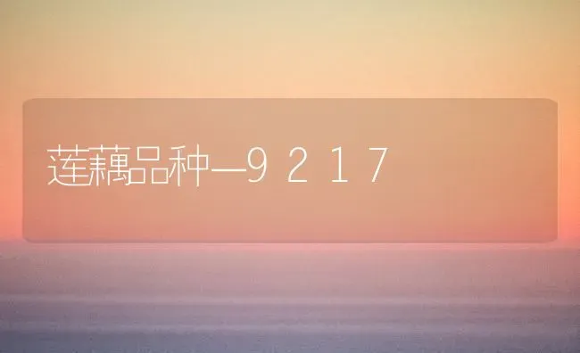 莲藕品种－9217 | 养殖知识