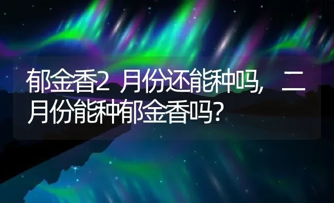 郁金香2月份还能种吗,二月份能种郁金香吗？ | 养殖学堂