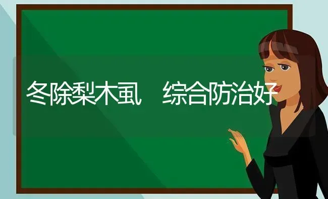 冬除梨木虱 综合防治好 | 养殖知识