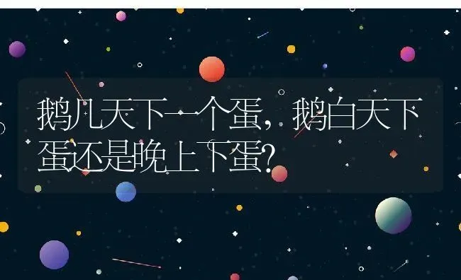 鹅几天下一个蛋,鹅白天下蛋还是晚上下蛋？ | 养殖科普