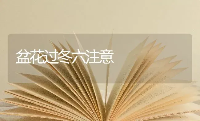 盆花过冬六注意 | 养殖知识