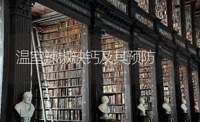温室辣椒缺钙及其预防 | 养殖知识