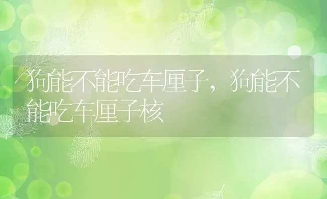 狗能不能吃车厘子,狗能不能吃车厘子核 | 养殖学堂