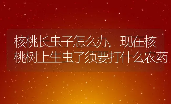 核桃长虫子怎么办,现在核桃树上生虫了须要打什么农药 | 养殖学堂