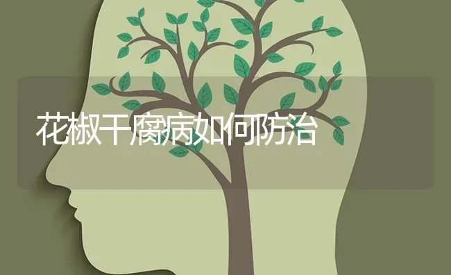 花椒干腐病如何防治 | 养殖技术大全