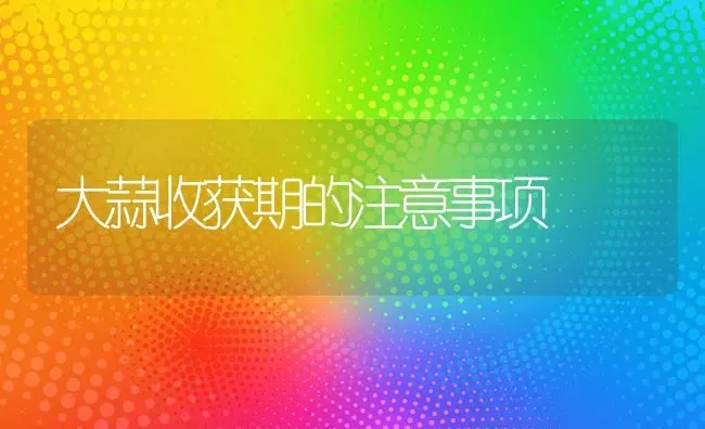 大蒜收获期的注意事项 | 养殖技术大全