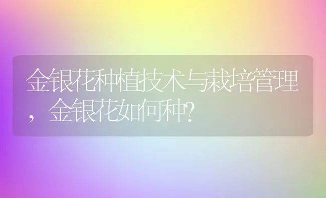 金银花种植技术与栽培管理,金银花如何种？ | 养殖科普