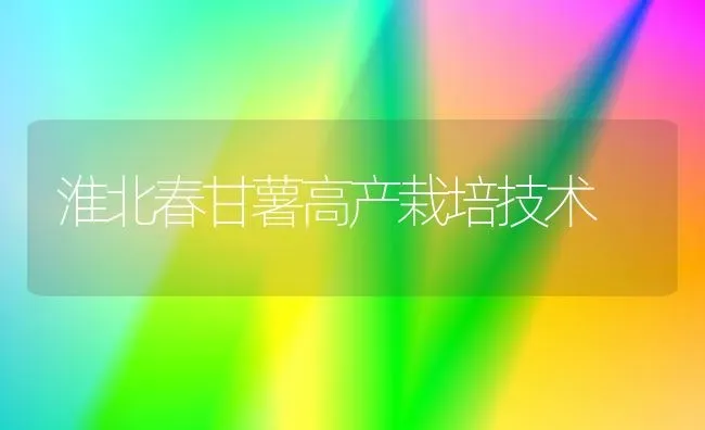 淮北春甘薯高产栽培技术 | 养殖技术大全