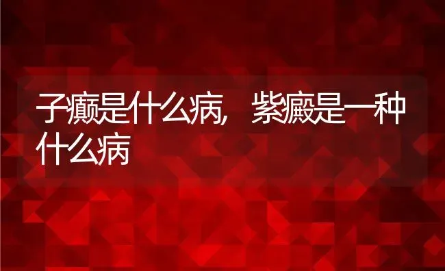 子癫是什么病,紫癜是一种什么病 | 养殖科普