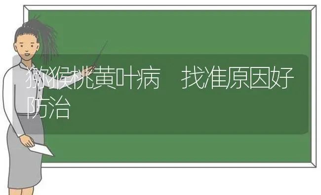 猕猴桃黄叶病 找准原因好防治 | 养殖技术大全