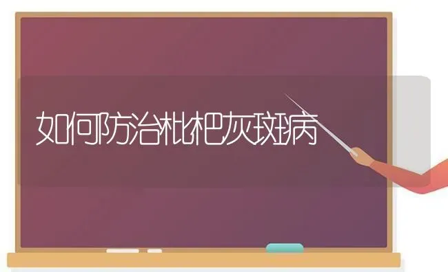 如何防治枇杷灰斑病 | 养殖技术大全